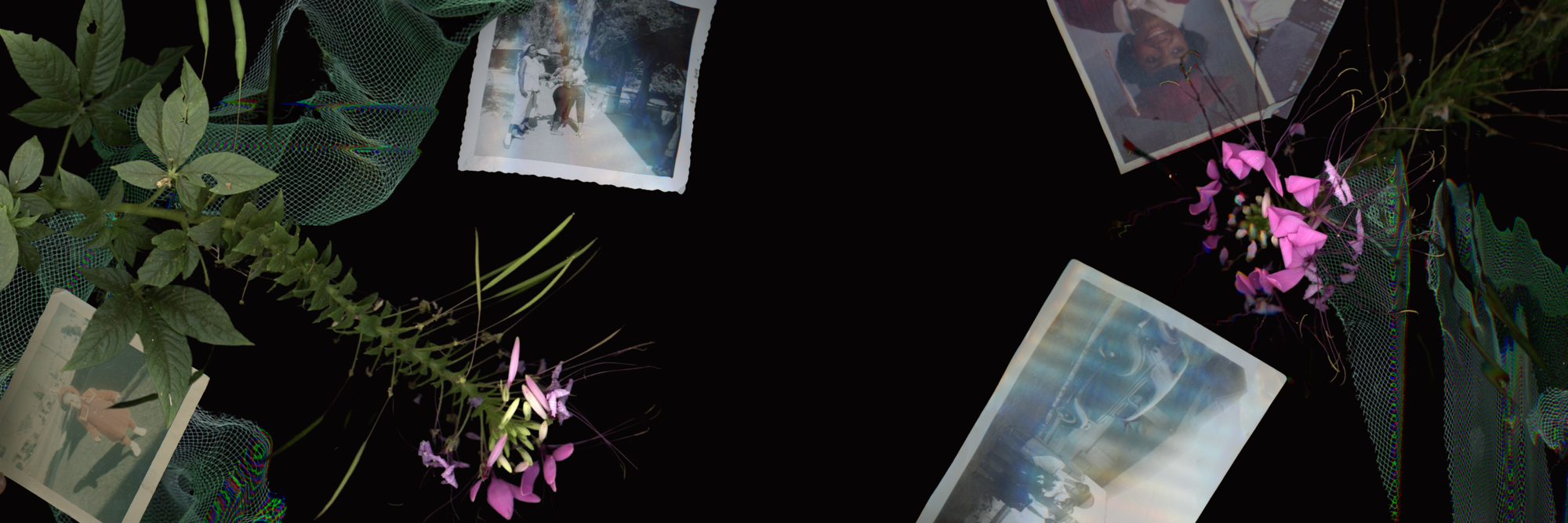 Perennial Memory Lab