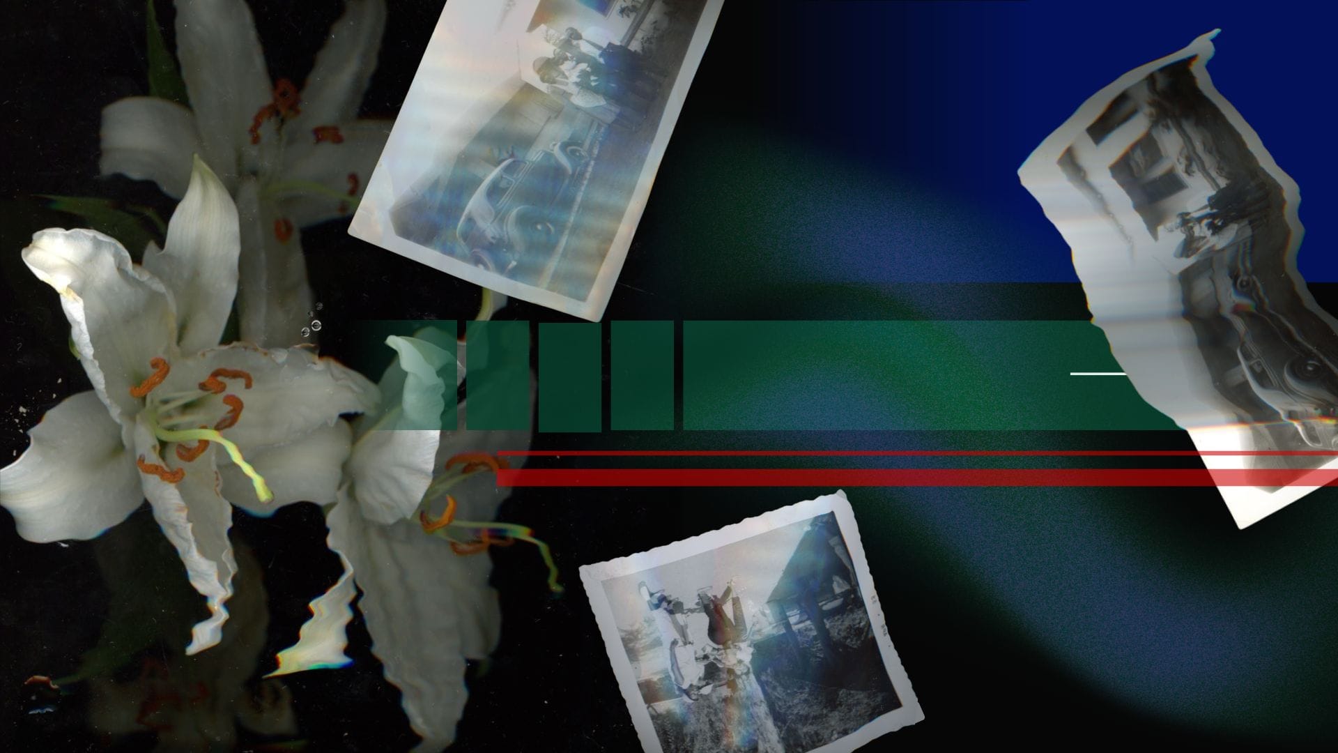 Perennial Memory Lab